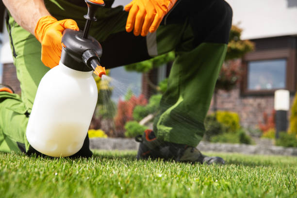Best Pest Inspection Near Me  in White Sulphur Springs, MT