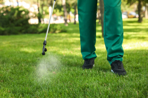 Best Pest Prevention Services  in White Sulphur Springs, MT