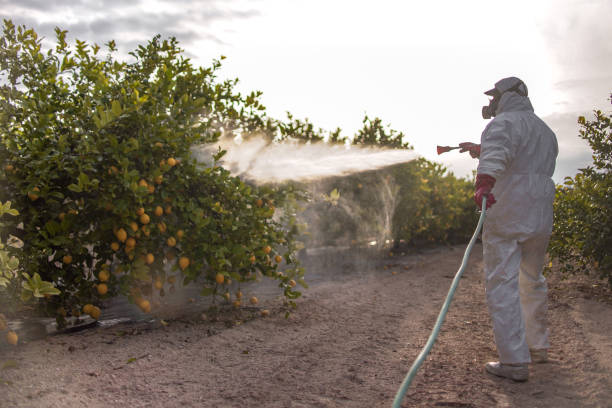 Best Best Pest Control Companies  in White Sulphur Springs, MT