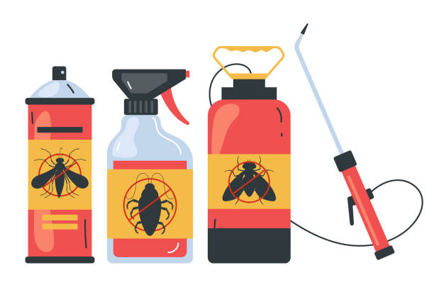 Best Termite Control Services  in White Sulphur Springs, MT